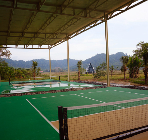 Pickleball